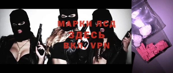 прущие грибы Приозерск