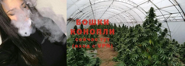 прущие грибы Протвино