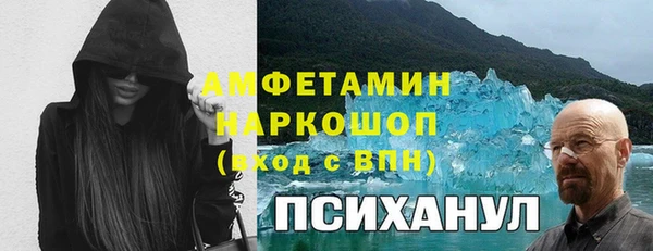 прущие грибы Приозерск